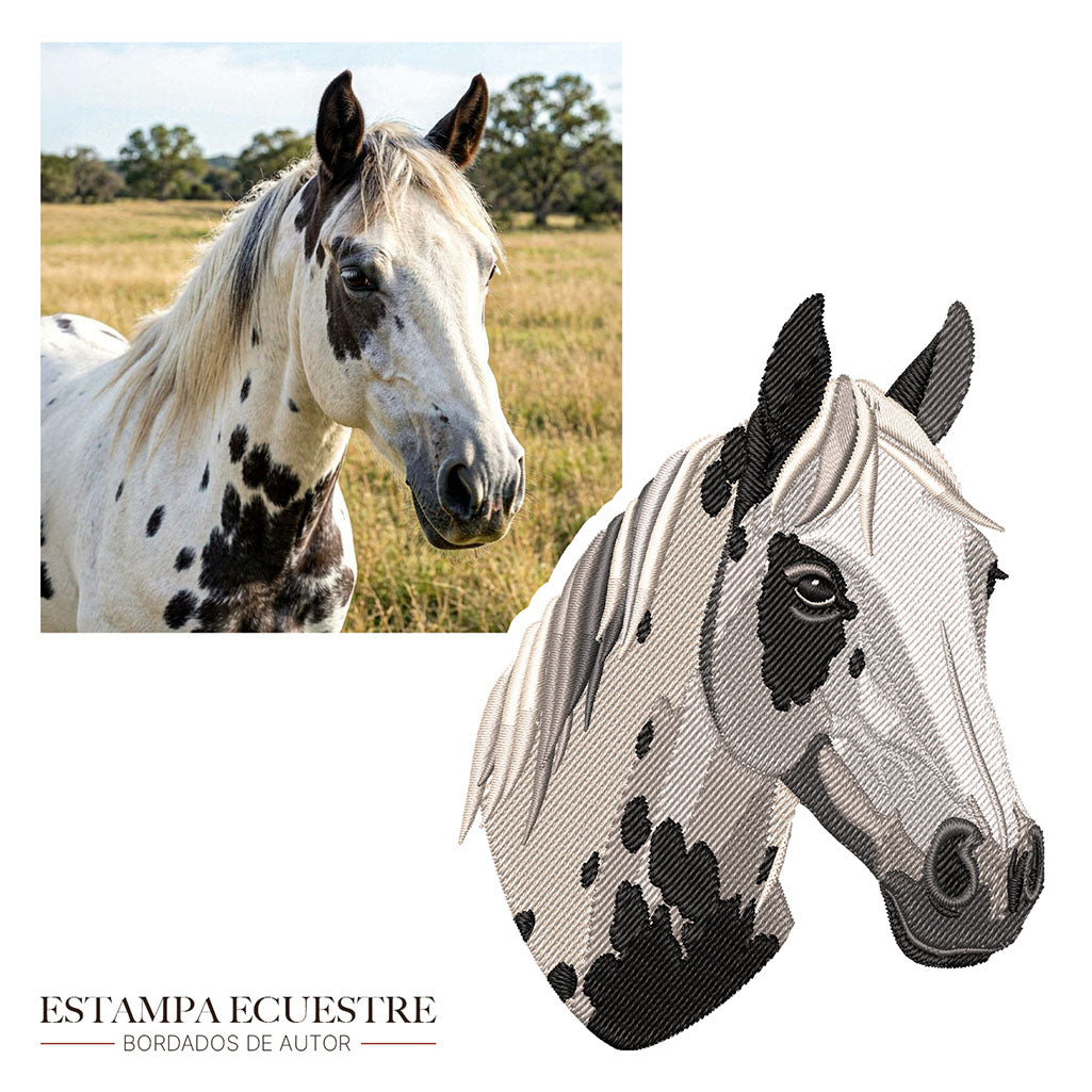 Remera Caballo Bordado
